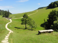 LES DRAILLES DE L'HISTOIRE - Guide Rhône-Alpes